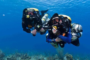 Tiran Island Trip Snorkeling & Diving with Lunch –Sharm El Sheikh