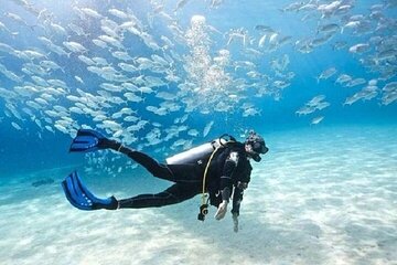 Scuba Diving Trip for Beginners 2 Stops & Lunch - Marsa Alam