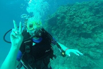 Scuba Diving Trip for Beginners 2 Stops & Lunch - Marsa Alam