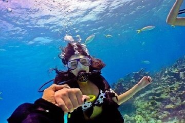 Scuba Diving Trip for Beginners 2 Stops & Lunch - Marsa Alam