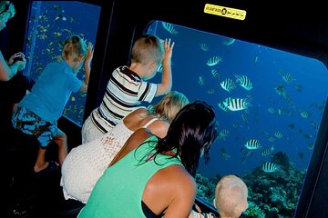 Hurghada: Royal Seascope Submarine cruise with Snorkel stop