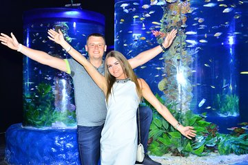 Official Account: Hurghada Grand Aquarium Entrance Tickets