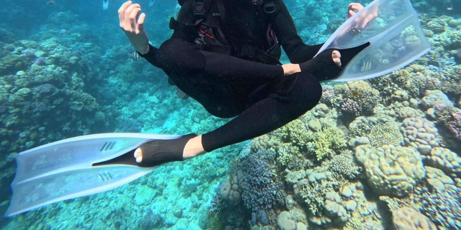 Immersioni per Principianti: Esplora il Mar Rosso