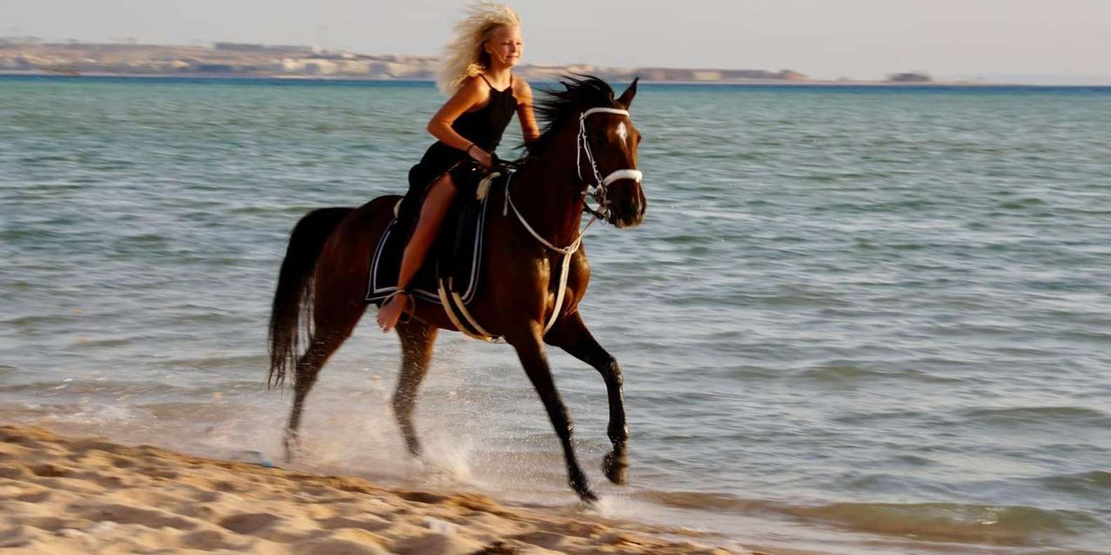 Makadi Bay: Passeggiata a Cavallo tra Deserto e Mare con Guida + Transfer